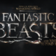 Trailer Debut – Fantastic Beasts and Where to Find Them