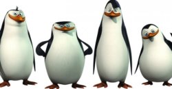 Trailer Debut – Penguins of Madagascar