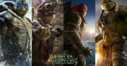 Special Turtles Event Announcement!