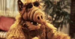 ALF to return?