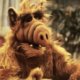 ALF to return?