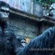 Trailer Debut – Dawn of the Planet of the Apes