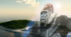 Kong Loses Two Actors