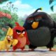 Trailer Debut – Angry Birds