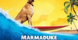 AccessReel Reviews – Marmaduke