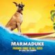 AccessReel Reviews – Marmaduke