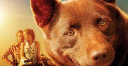 Red Dog Still Breaking Box Office Records