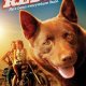 Red Dog Still Breaking Box Office Records