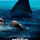AccessReel Reviews – The Reef