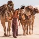 Trailer Debut – Mia Wasikowska in TRACKS