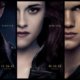 Epic Promotional Tour for Final Twilight Film