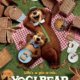 AccessReel Reviews – Yogi Bear