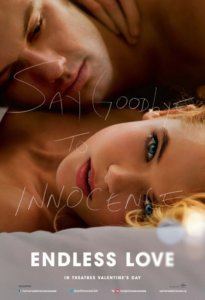 Endless Love Poster