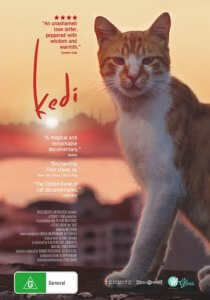 Kedi Poster