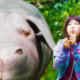 Okja Trailer Released