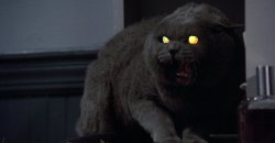 Pet Sematary