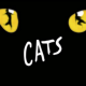 Ian McKellan, James Corden, Jennifer Hudson, Taylor Swift Join Cast of Cats