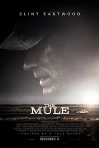 The Mule Trailer