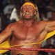 Chris Hemsworth tapped to play Hulk Hogan in biopic!