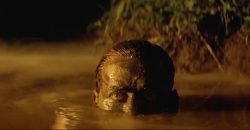 Apocalypse Now Final Cut never-before-seen cut 4K release for 40th Anniversary
