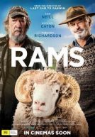 Rams Trailer