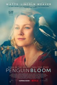 Penguin Bloom Trailer