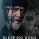 Sleeping Dogs Trailer