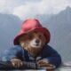 Paddington in Peru Review