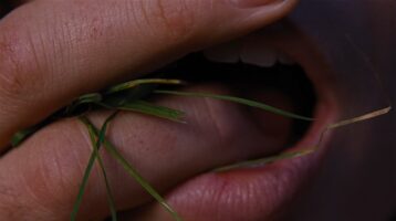 Wuthering Heights Review