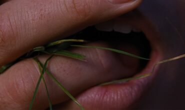 Wuthering Heights Review