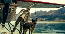 Heart of the Beast Review