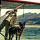 Heart of the Beast Review