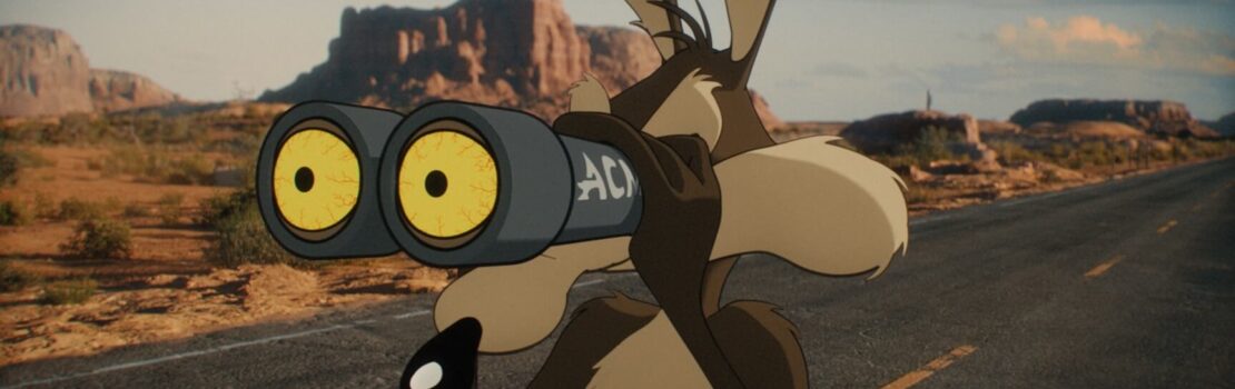 Coyote vs. ACME