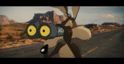 Coyote vs. ACME