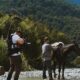 The Most Memorable Horse Racing Movies Every Film Fan Should Watch