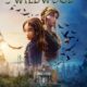 Wildwood Trailer